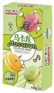 Gangfu Matcha Popping Candy Macarons 50g CHN – Martigane