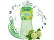 Kato Mojito Juice With Nata De Coco Jelly 320ml THA – Martigane