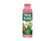 OKF Aloe Vera King Peach Drink 500ml KOR – Martigane