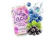 OKF PostLacto Zero Sugar Berry Blast Sparkling Drink 350ml KOR – Martigane