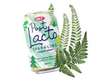 OKF PostLacto Zero Sugar Forest Drop Sparkling Drink 350ml KOR – Martigane