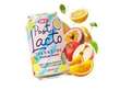 OKF PostLacto Zero Sugar Tropical Punch Sparkling Drink 350ml KOR – Martigane