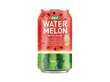 OKF Watermelon Juice With Aloe 340ml KOR – Martigane