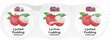 Rico Lychee Pudding With Nata De Coco (3x65g) 195g MYS – Martigane