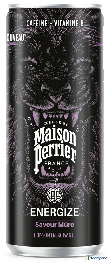 MAISON PERRIER - Energize mure 25cl x24 – Boissons énergétiques – Martigane