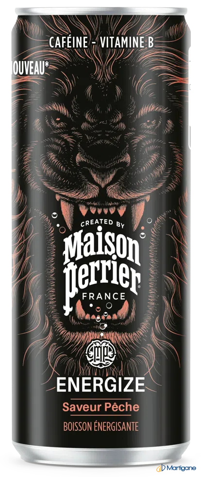 MAISON PERRIER - Energize pêche 25cl x24 – Boissons énergétiques – Martigane