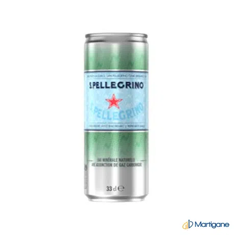 SAN PELLEGRINO Eau pétillante 33cL – B2B Produkt bei Martigane