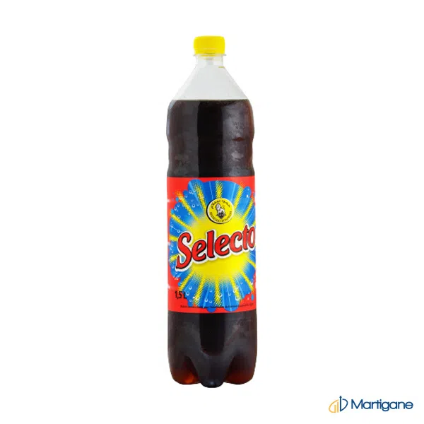 SELECTO 1,5L – Erfrischungsgetränke B2B